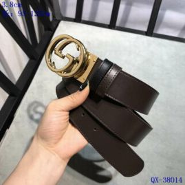 Picture of Gucci Belts _SKUGuccibelt38mm95-125cm8L523849